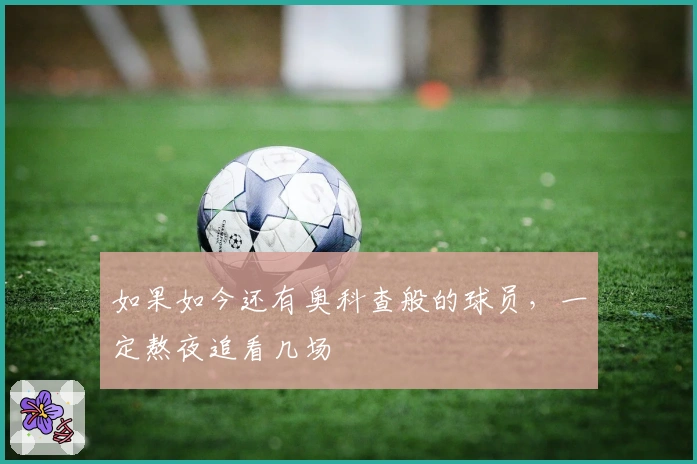 如果如今还有奥科查般的球员，一定熬夜追看几场